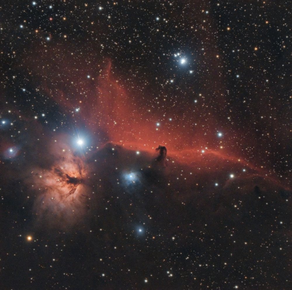 Flame and Horsehead Nebula