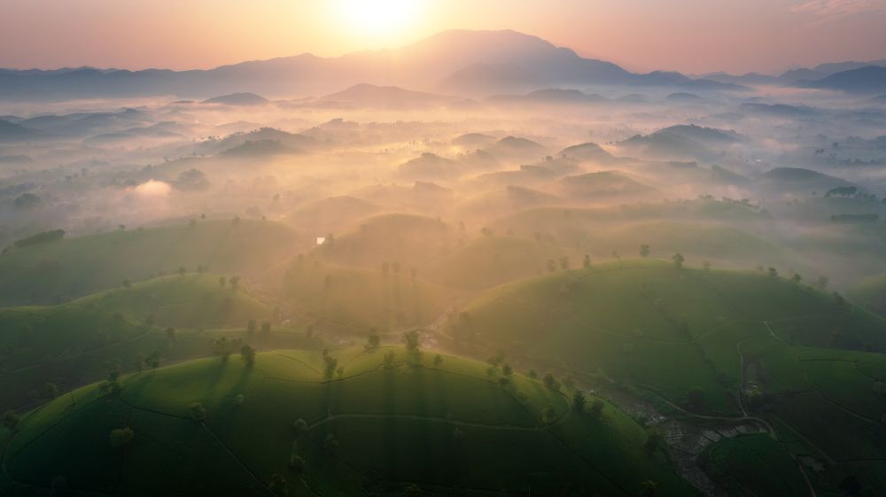 Photograph by Duy Chris