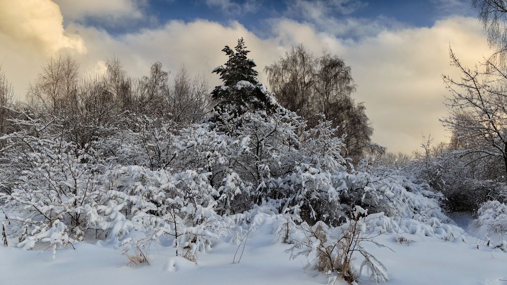 Photograph by Oleg  Prosto