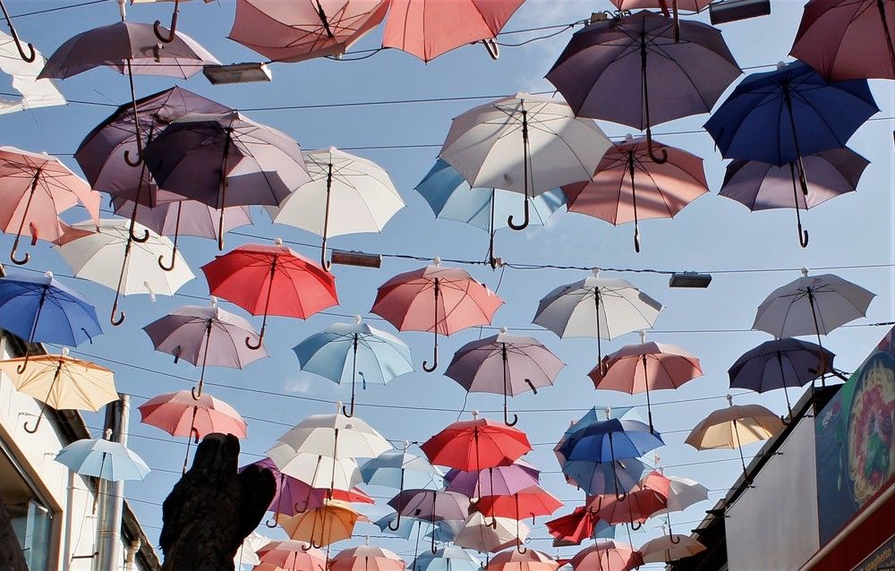 Фотография автора Лариса Ременьчик