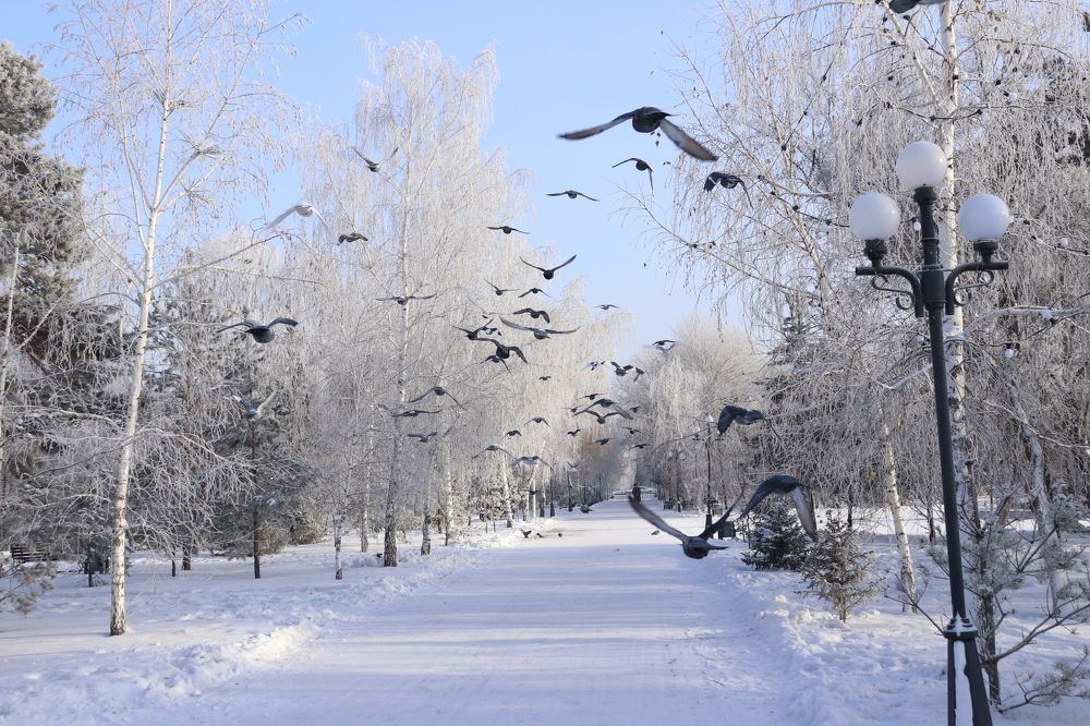 Photograph by Марина Савченко