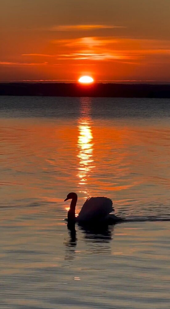 Photograph by Алла Узкая