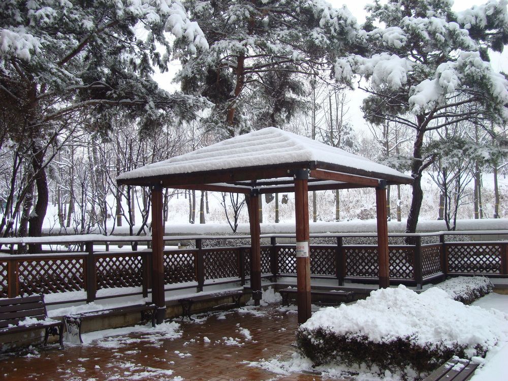 Фотография автора АЛЕКСАНДР ЦЫГЕЛЬНЮК