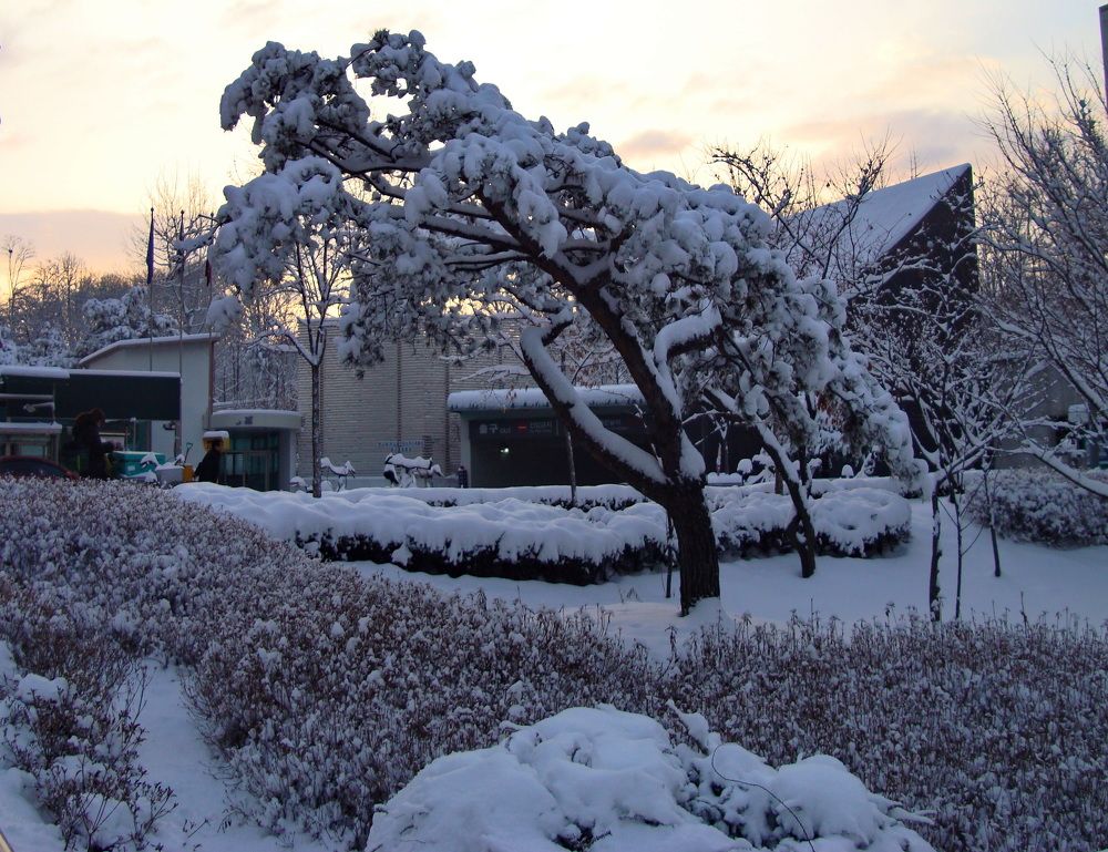 Фотография автора АЛЕКСАНДР ЦЫГЕЛЬНЮК