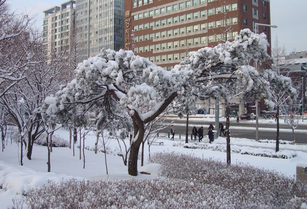 Фотография автора АЛЕКСАНДР ЦЫГЕЛЬНЮК