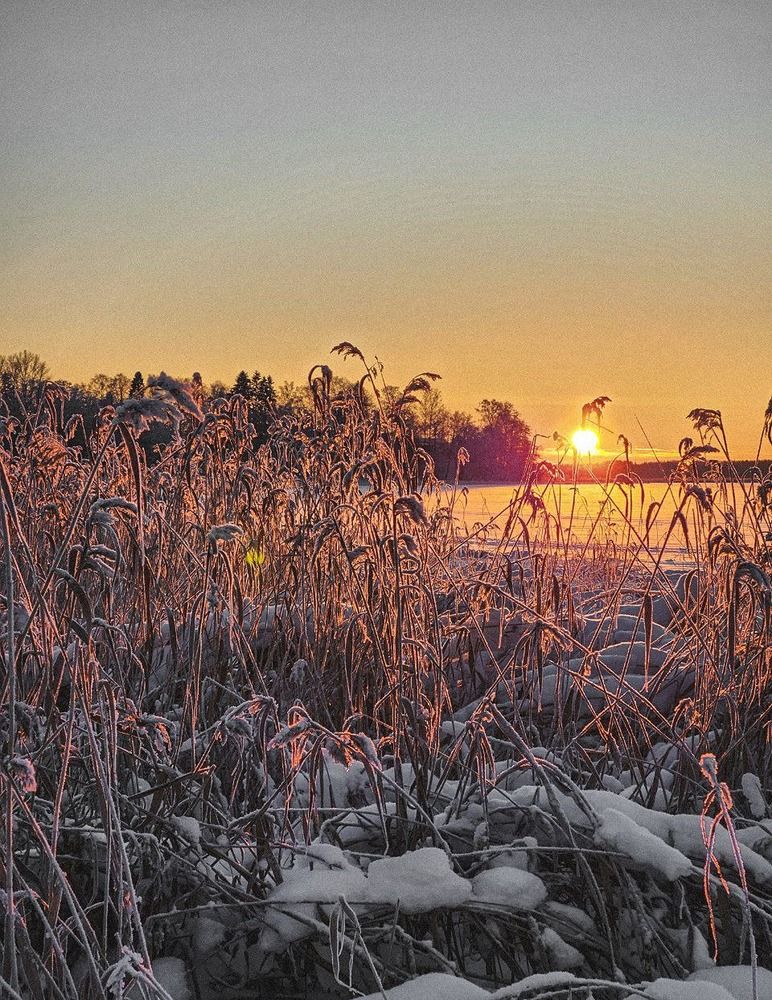 Photograph by Inna Iudina