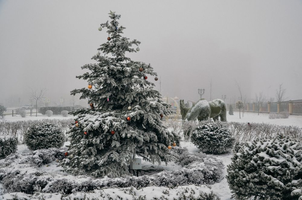 Старый новый год