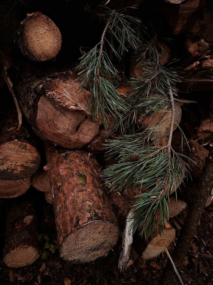 Photograph by Ирина