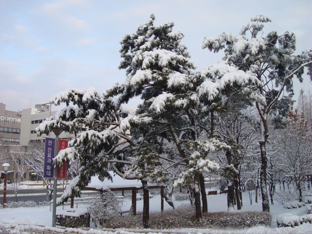 Фотография автора АЛЕКСАНДР ЦЫГЕЛЬНЮК
