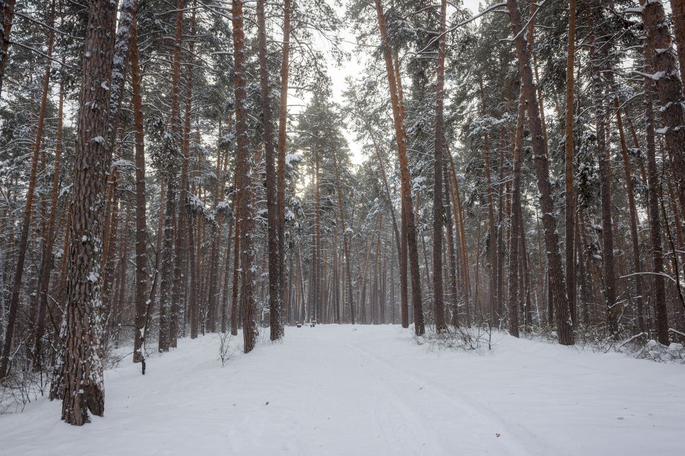 Photograph by Efremenko Nikita