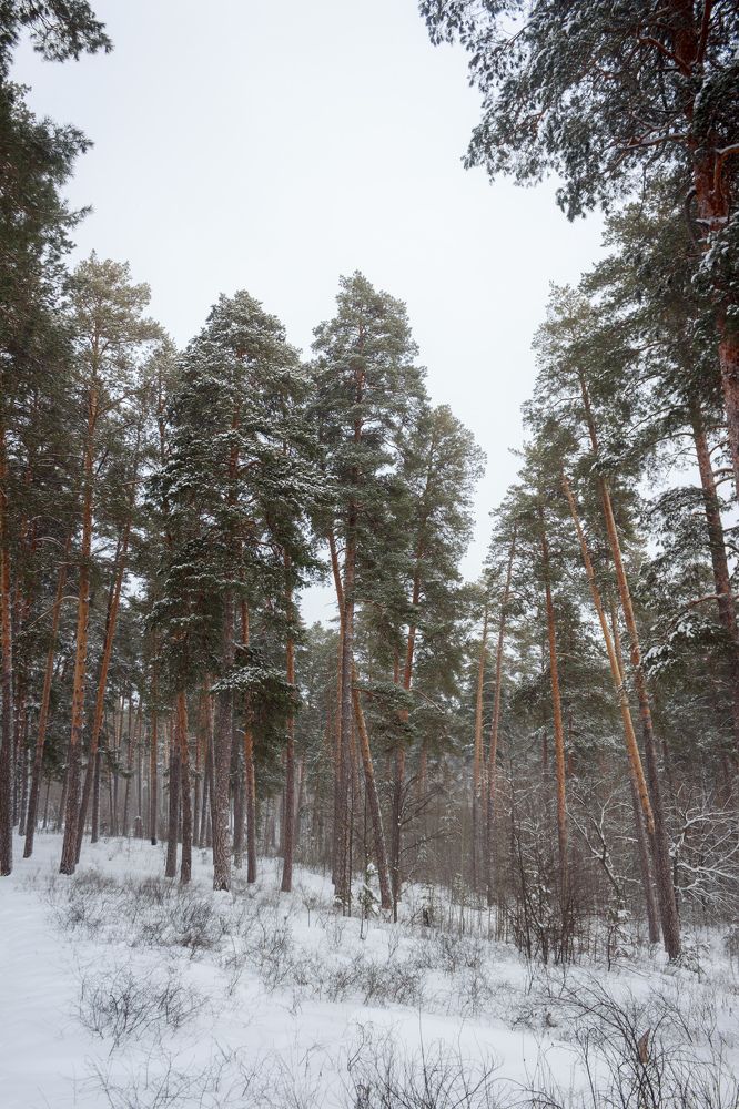 Photograph by Efremenko Nikita