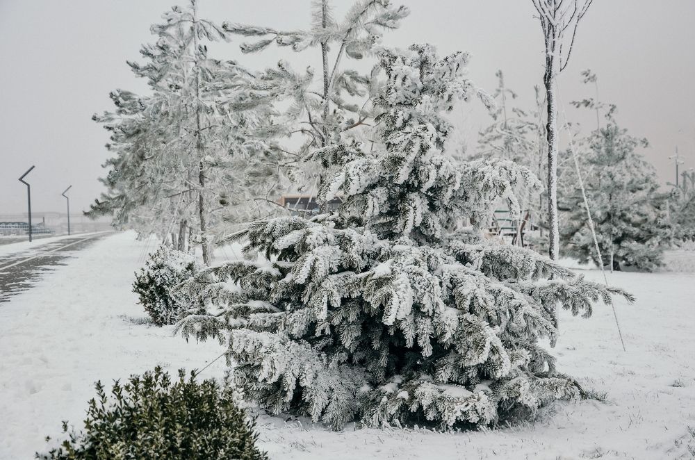 Холодная зима