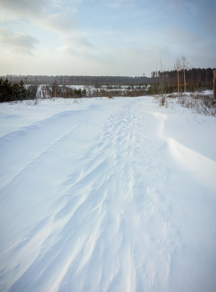 Photograph by Efremenko Nikita