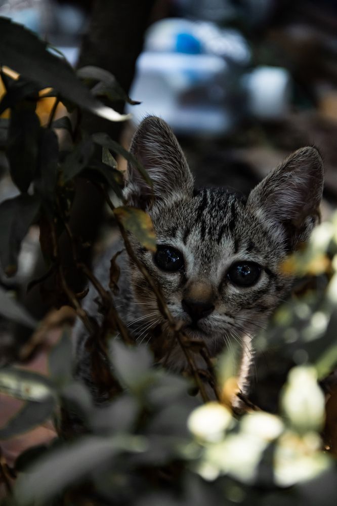 Фотография автора Bùi Nguyễn