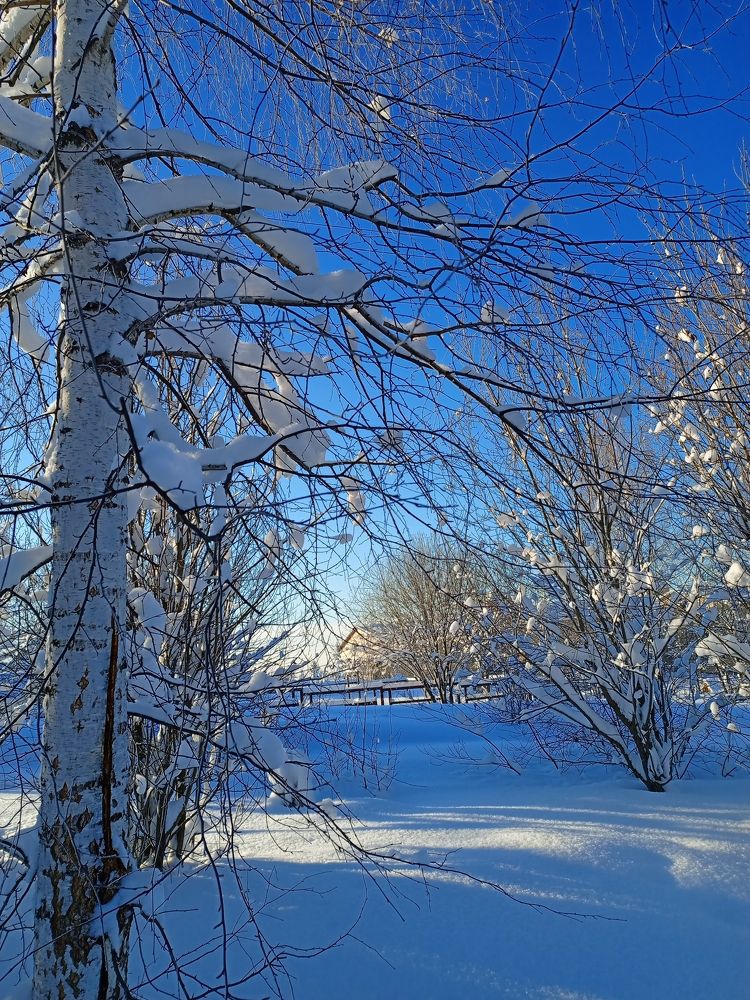Photograph by Ольга Лемегова