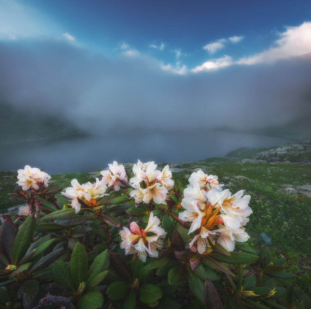 Photograph by Кахарова Наргиза