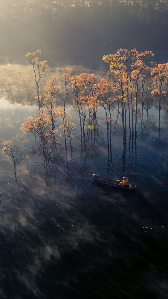 Photograph by Bao Nguyen