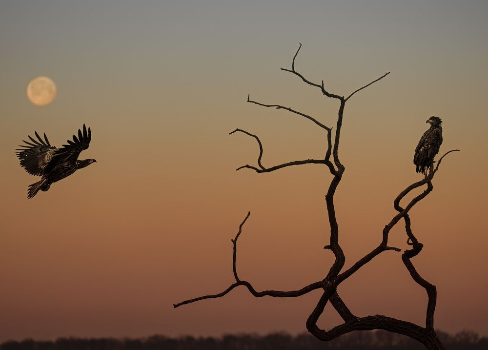 Photograph by Tímea Ambrus