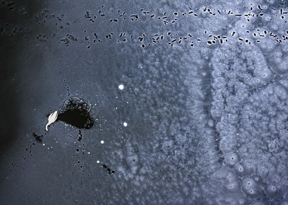 Photograph by Tímea Ambrus