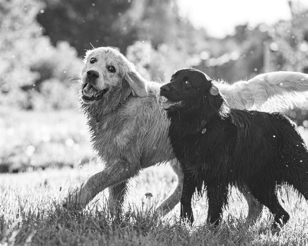 Photograph by Татьяна