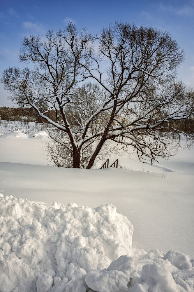 Photograph by Галина Иванова