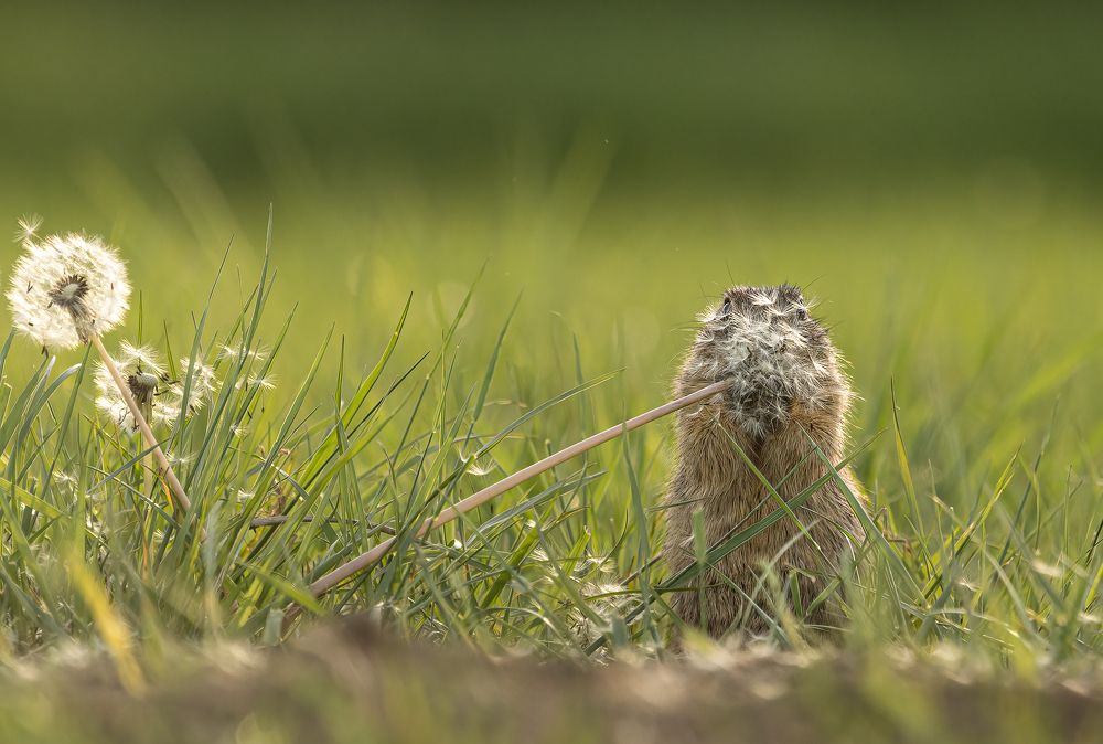 Photograph by Tímea Ambrus