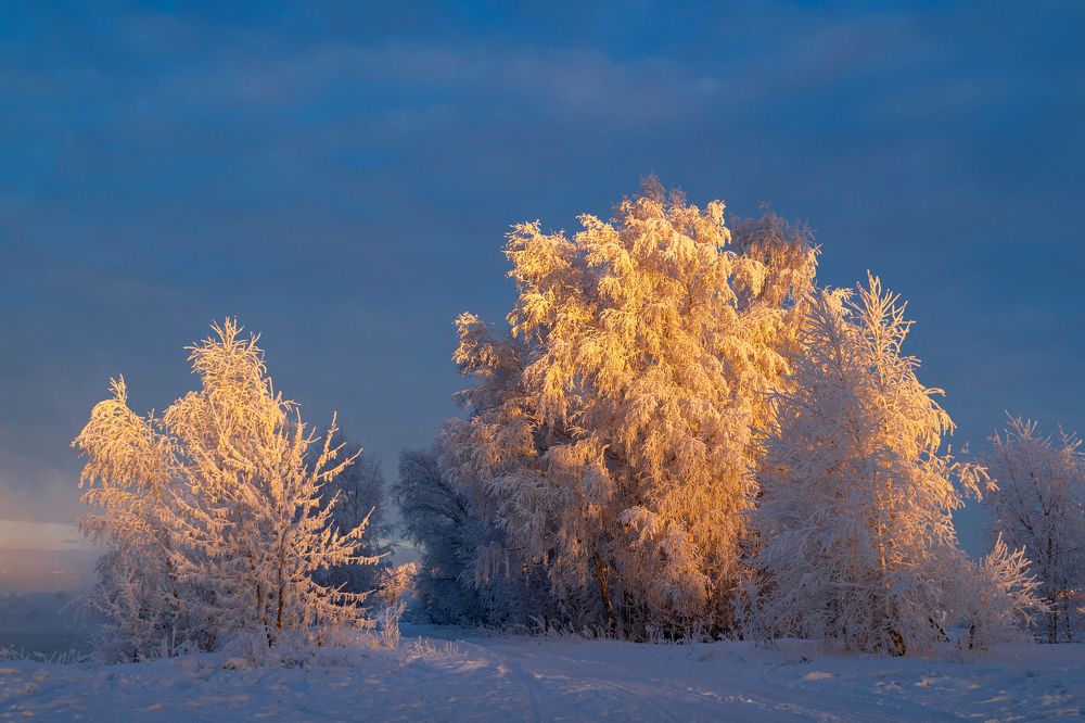 Фотография автора Михаил Тильпунов