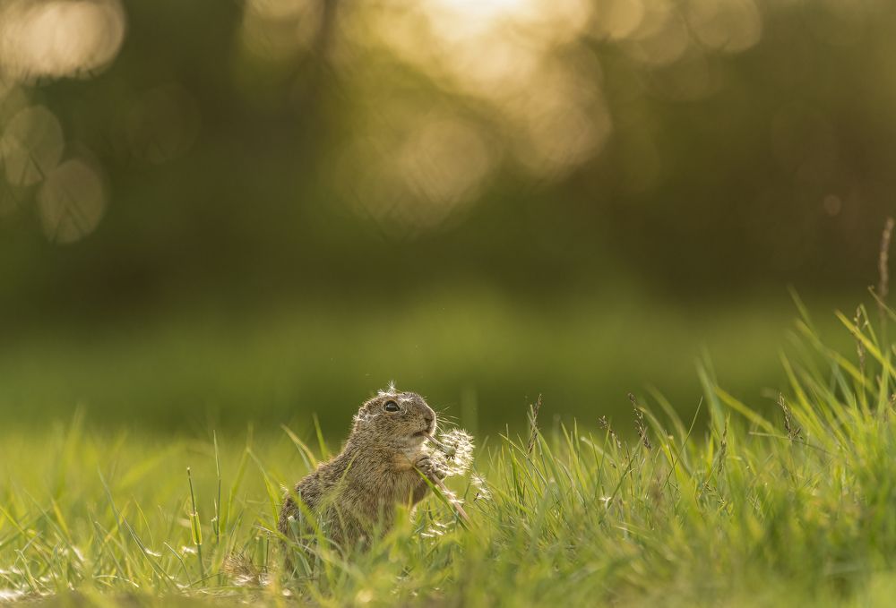 Photograph by Tímea Ambrus