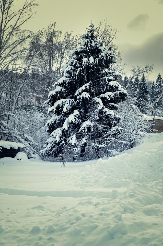 Photograph by Галина Иванова