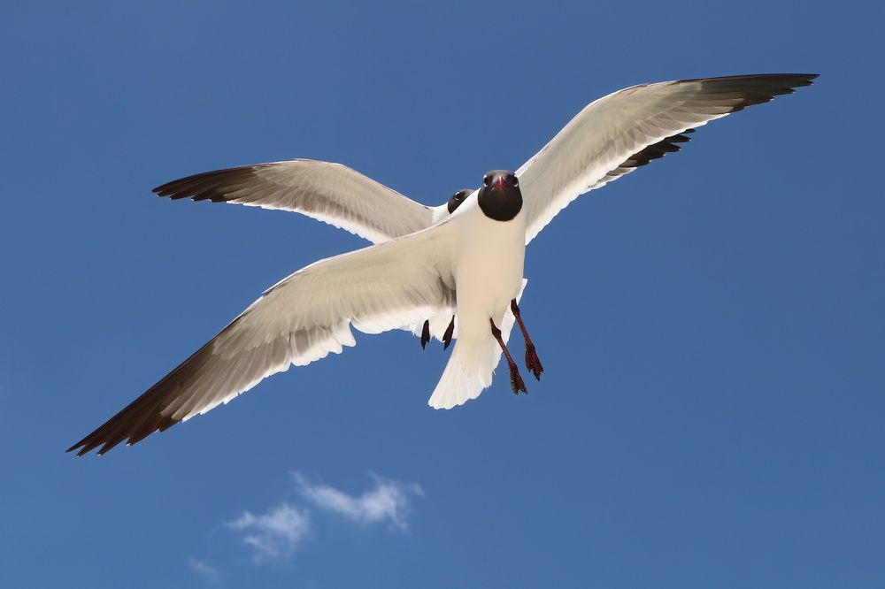 Photograph by Dagmar Vopolková