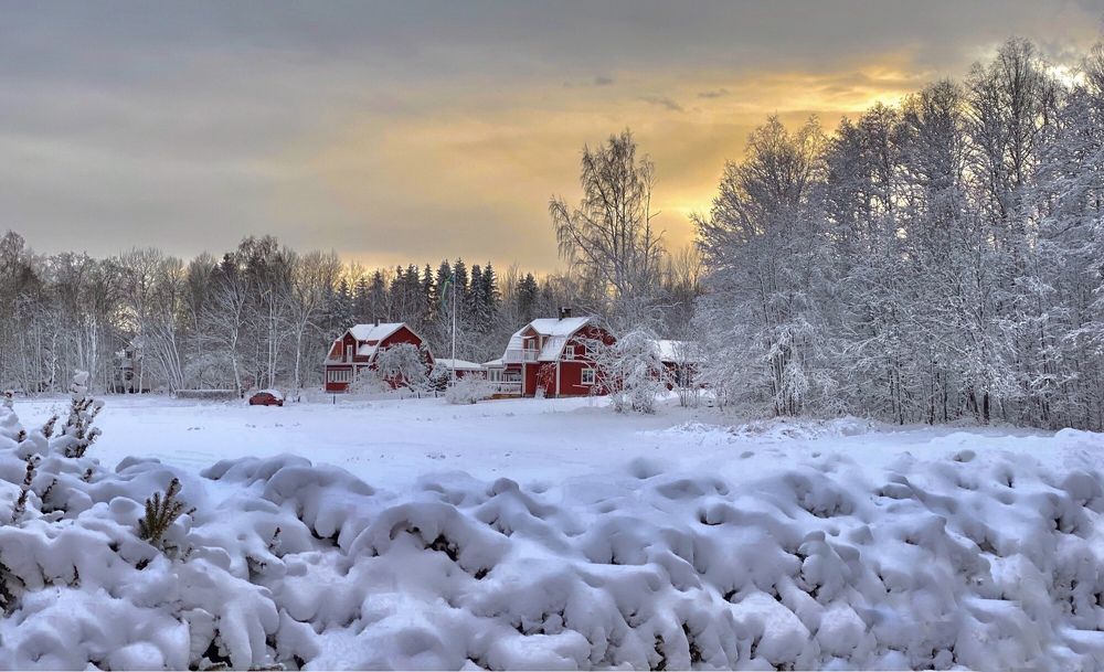 Photograph by Janina Segeda