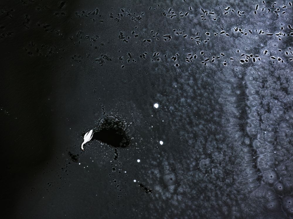 Photograph by Tímea Ambrus