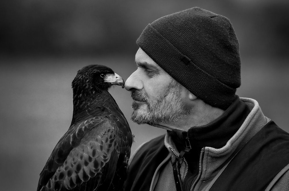 Photograph by Tímea Ambrus