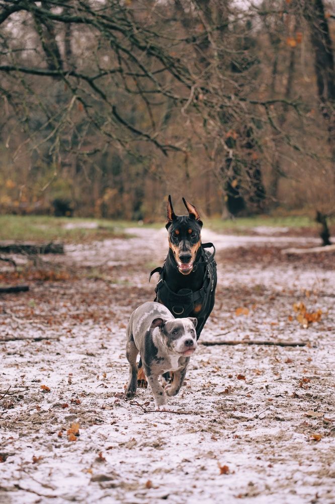 Фотография автора Павел Курицын