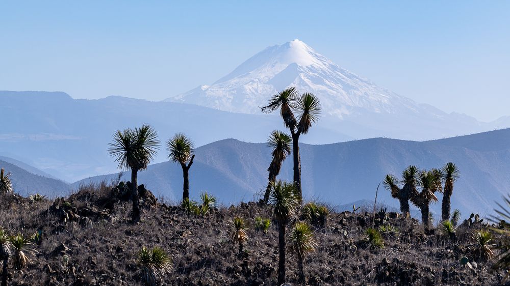 Photograph by Armando López-Guerrero