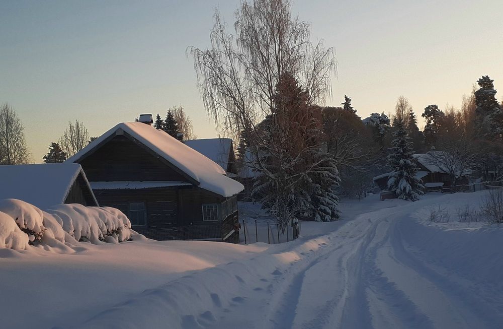 Photo #10099433