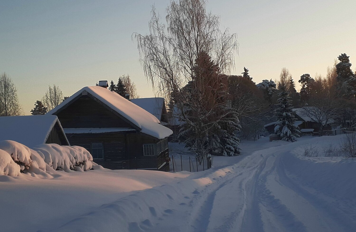 Photo #10099433