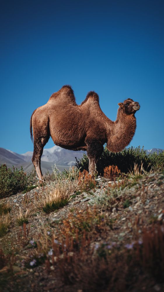 Фотография автора Павел Курицын