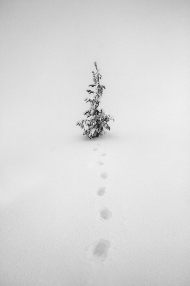 Сейчас куда?