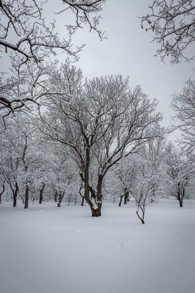 Фотография автора Виталий Панченко