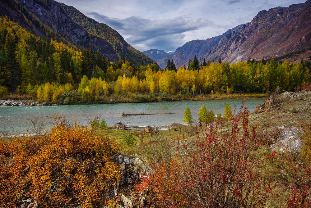 Photograph by Чичкин Валерий