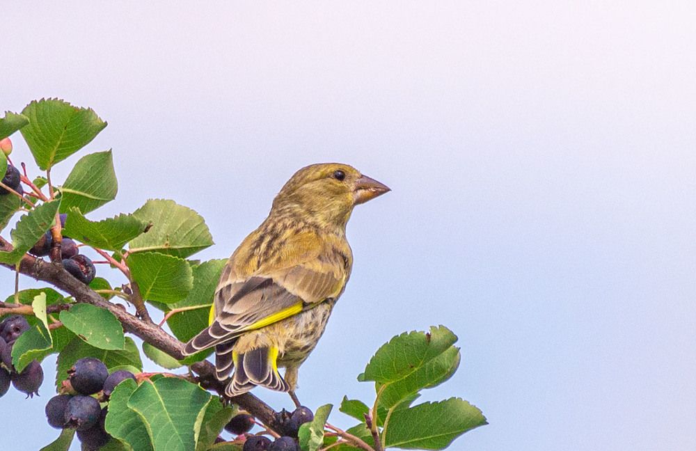 Photograph by Сергей