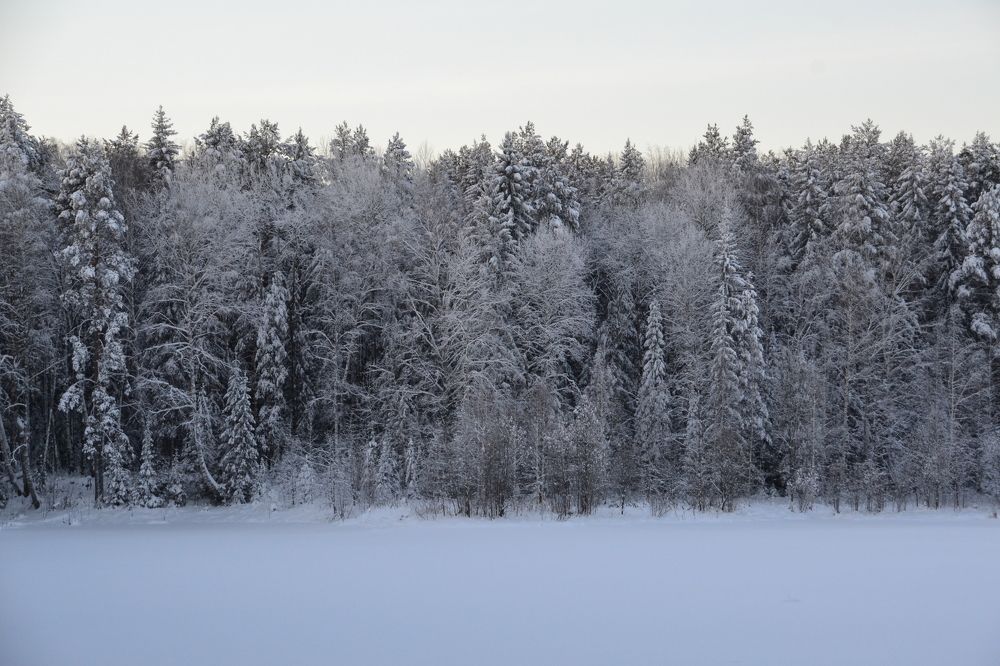 Photograph by Владислав Завальнюк