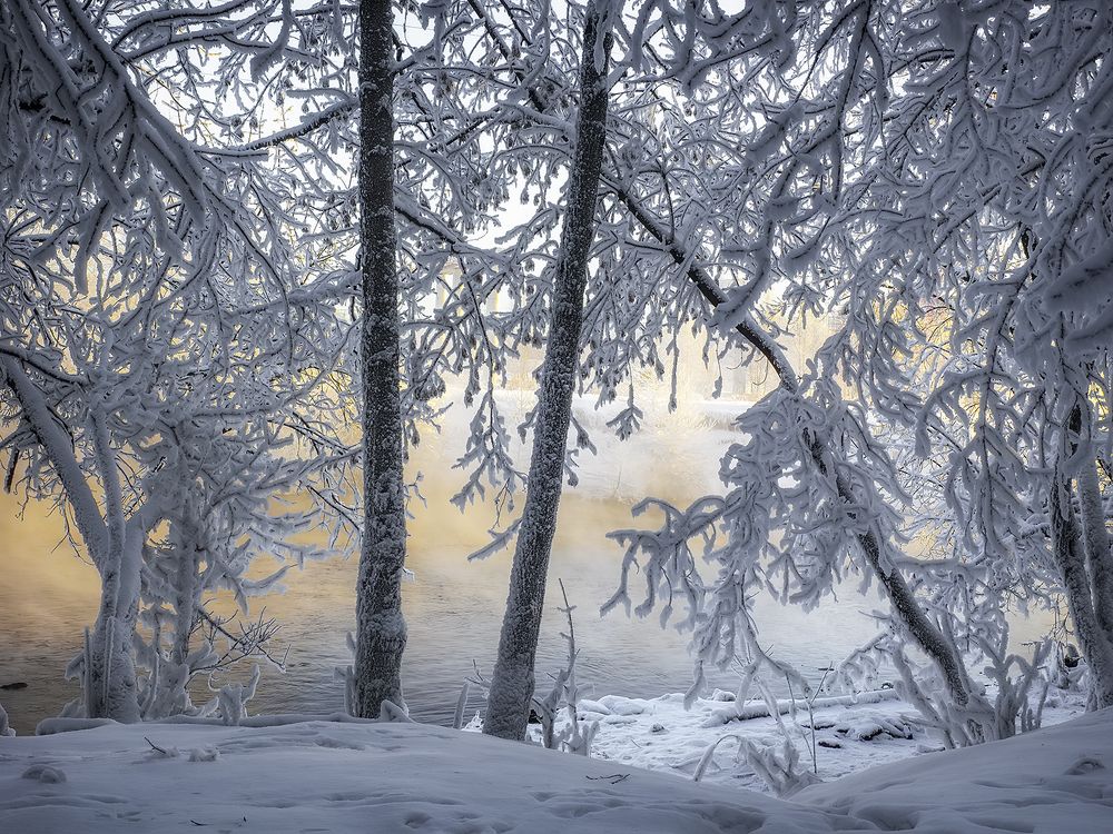 Photograph by Минаева Вера