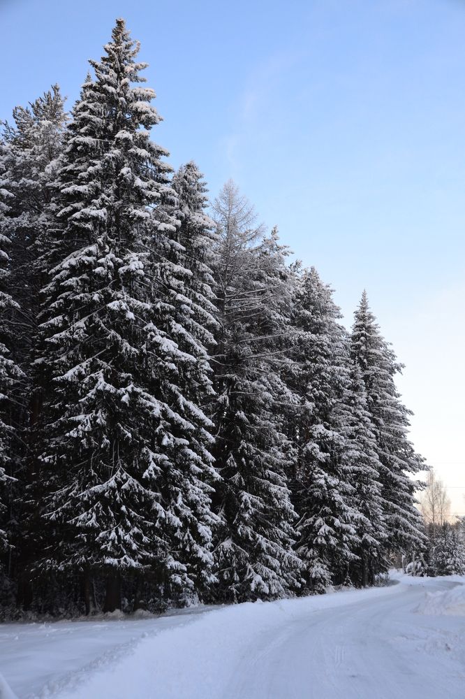 Photograph by Владислав Завальнюк