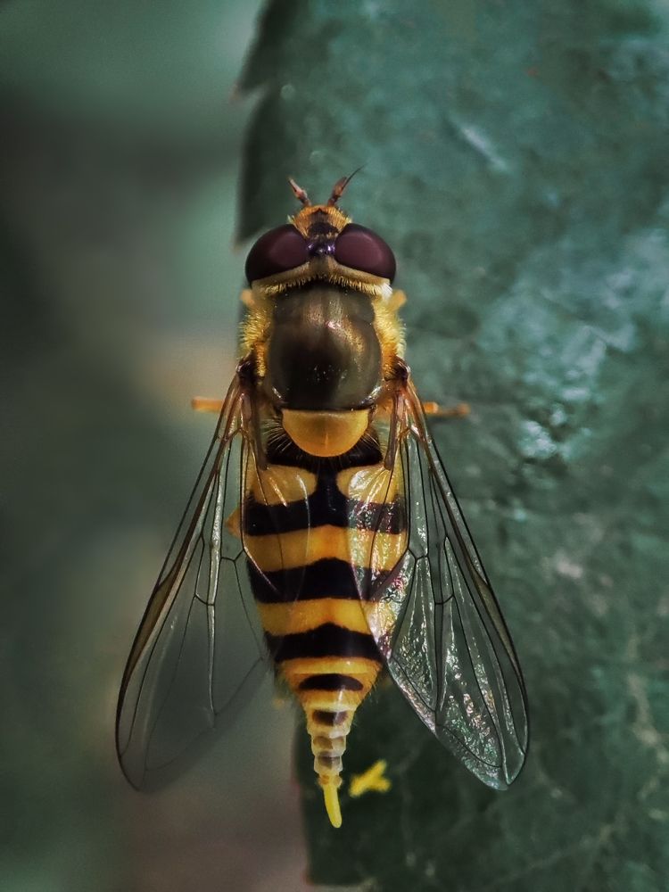 Photograph by Sarah.msn