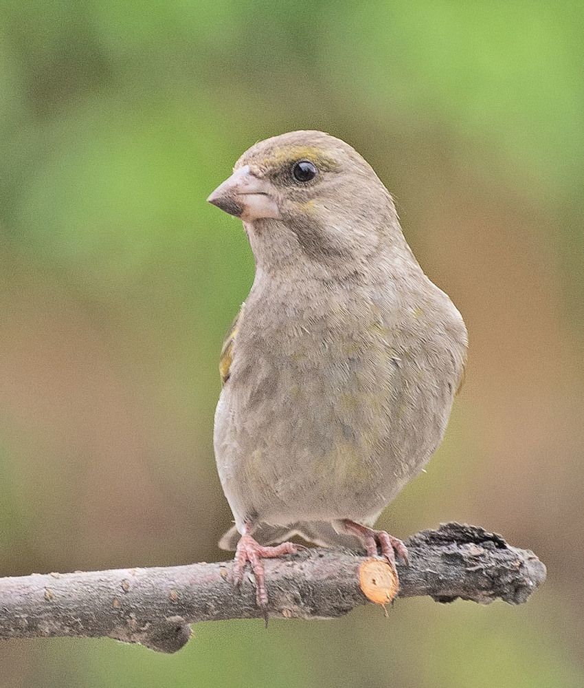 Photograph by Сергей