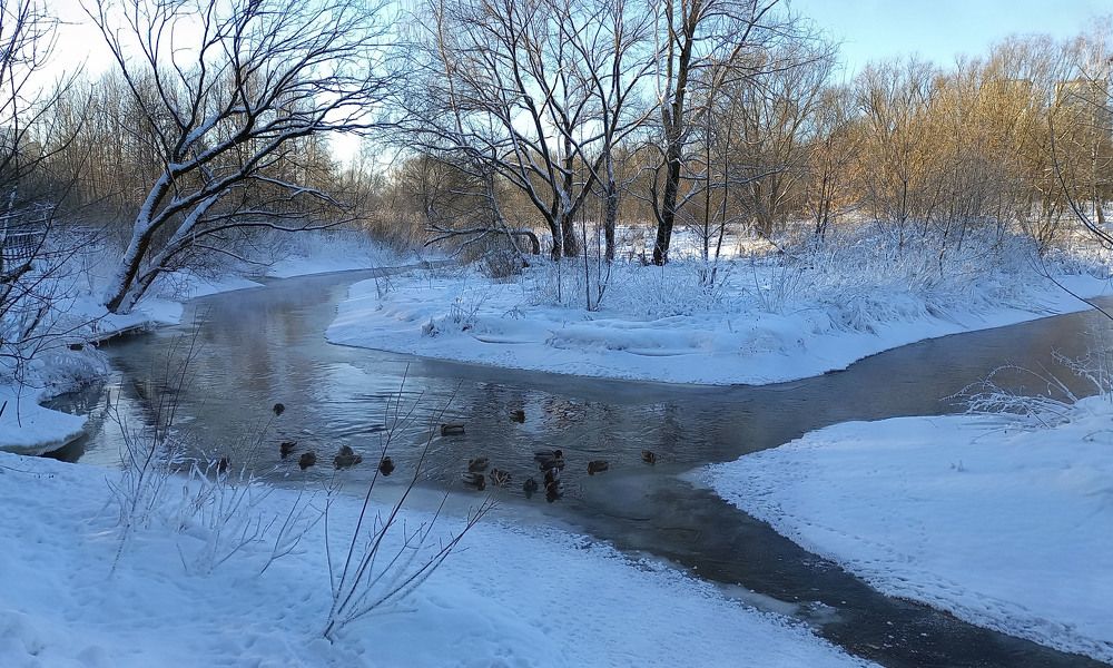Photograph by Владимир Гречанинов