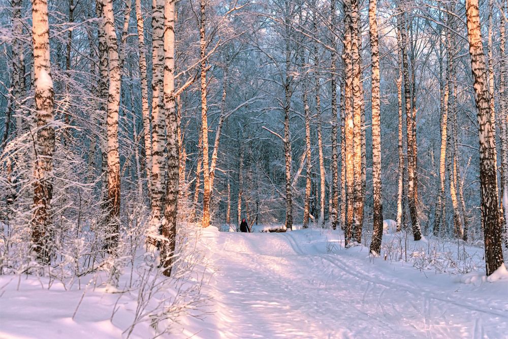 Photograph by Сергей