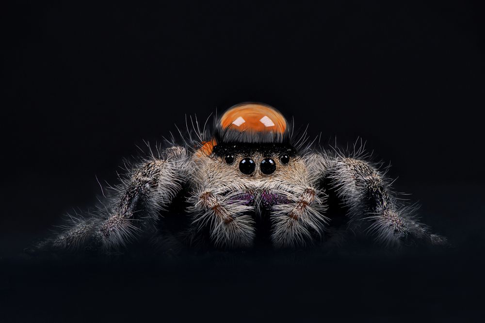 Photograph by Третьякова Анастасия